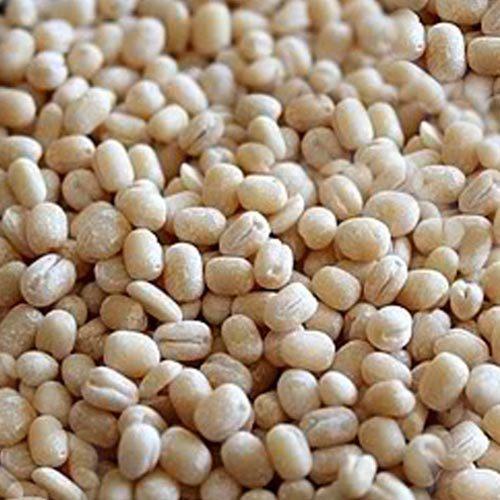 High Protein And White Urad Dal(Rich In Multiple Nutrients And Antioxidants) Crop Year: 4 Months