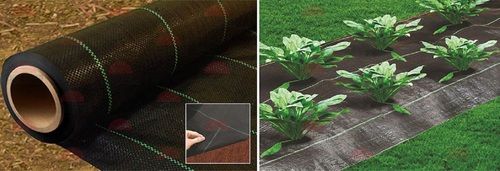 Uv Stabilized Polypropylene Tapes Weaved Durable Shalimar Ground Covers