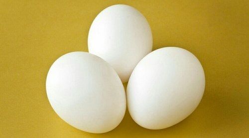 Vitamins, Calcium And Nutrients Rich Farm Fresh White Egg For Human Consumption