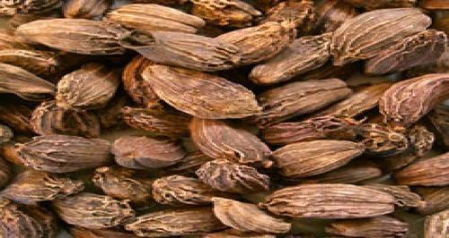 Black Big Cardamom Mostly Used In Indian Cuisine(Flavouring And Medicinal Herb)