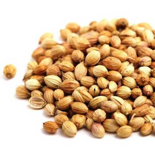 Organic Cooking Use Coriander Seeds In Light Golden Color, Moisture 10% Max