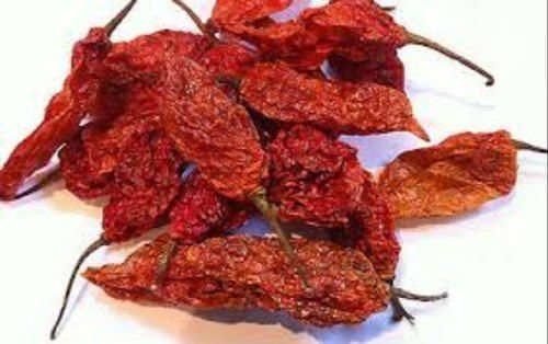 Strong Heat Level Indian Spicy And Dried Red Bhut Jolokia Chilli  Grade: A