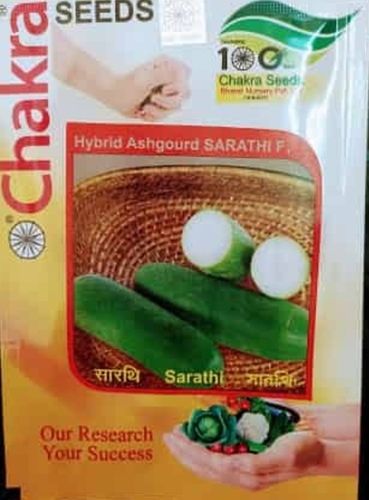 Agriculture Chakra Hybrid Ash Gourd Sarthi F, Seeds Color Green, Rich In Flavonoids And Carotenes