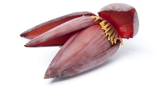 Green Banana Flower Red Colour Without Vase(Improve Nervous System Function)