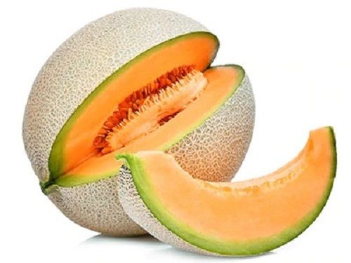 Fresh And Healthy Organic Sweet Muskmelon For Good Health  Origin: Indian