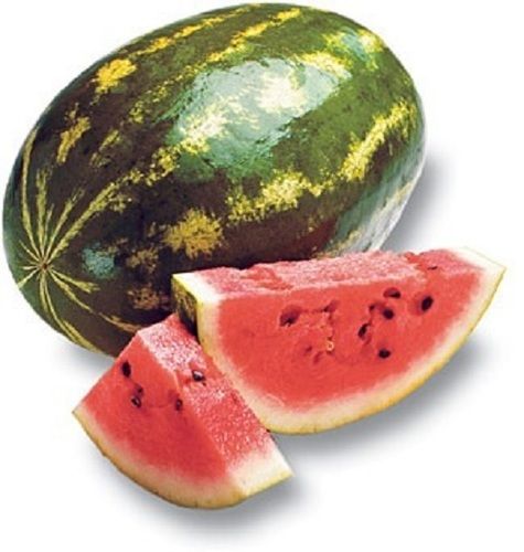 Green Fresh And Organic Sweet Watermelon With High Nutritious Values