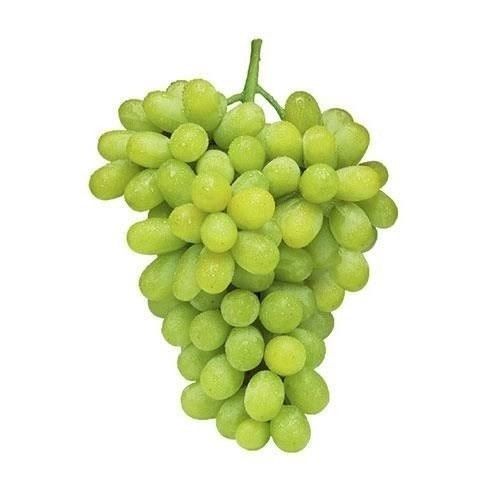 Fresh Green Sweet And Sour Grapes With High Nutritious Values
