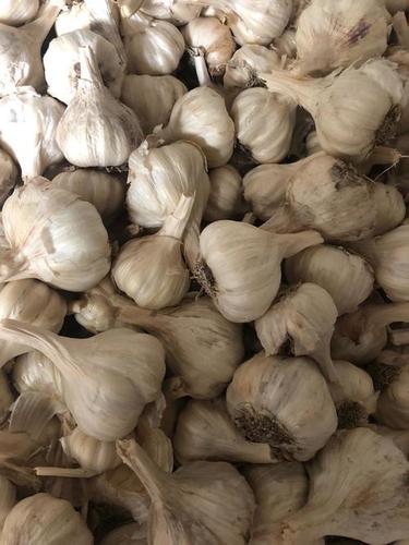 Purity 100 Percent Chemical Free Natural Rich Taste Healthy White Fresh Garlic