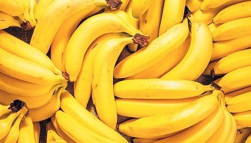 Yellow Color Organic Sweet And Tasty Ripe Banana For Good Health