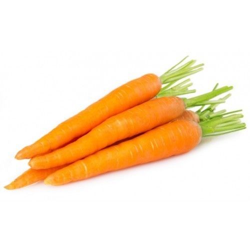 100 Percent Natural And Organic Grown, Rich In Vitamin A, Fresh Red Carrot