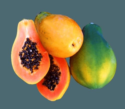 100 Percent Organic And Farm Fresh Yellow Papaya, Rich In Vitamins