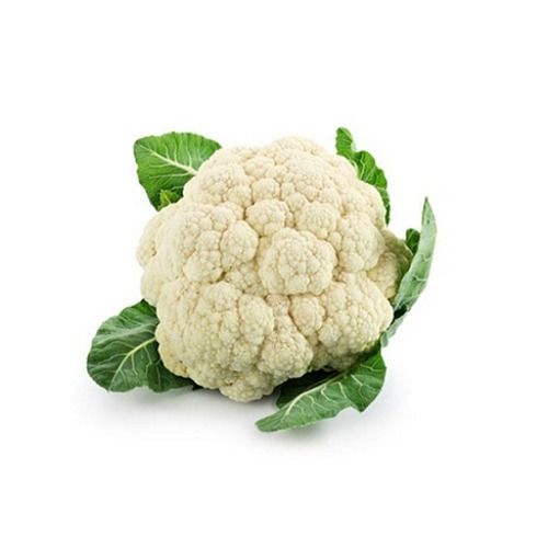 100% Pure And Natural Fresh White Cauliflower Use For Cooking