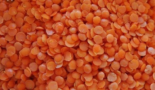 Fresh and Pure Organic Masoor Dal In Round Shape with 100 Percent Organic Purity
