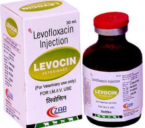 Levofloxacin Injection 30ml For Treat Bacterial Diseases Bringing About Pneumonia Urinary Plot Contamination And Bladder Contamination