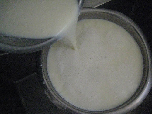  प्राकृतिक जैविक सफेद रंग का गाय का दूध (कैल्शियम का अच्छा स्रोत) 