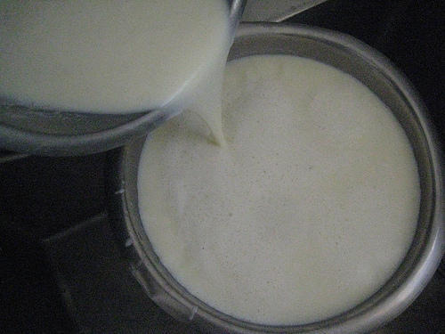 Natural Organic White Color Cow Milk(good Source Of Calcium)