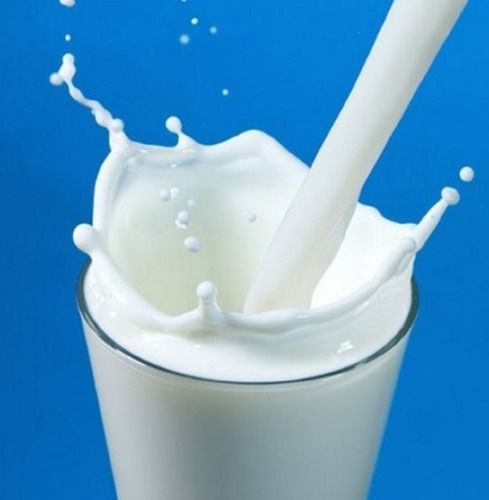 Pure Fresh Organic White Color Cow Milk(Source Of Vitamin B12)