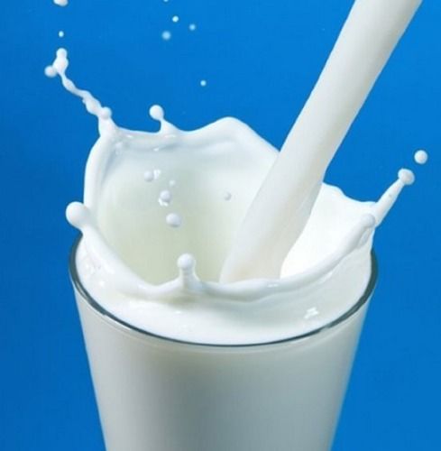 Pure Fresh Organic White Color Cow Milk(Source Of Vitamin B12) Age Group: Baby