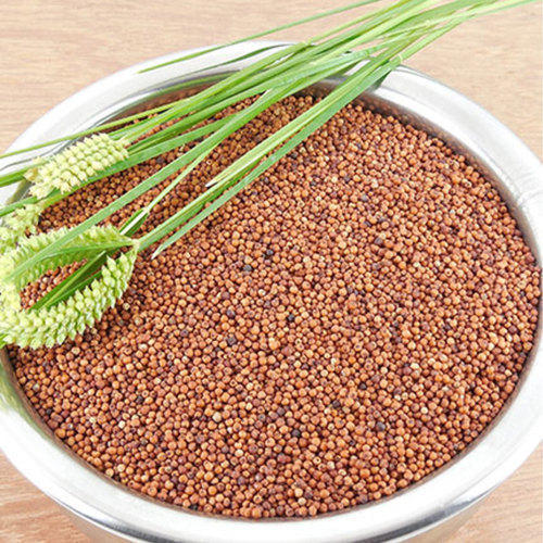 Vitamins, Minerals And Selenium Rich Whole Ragi Millet Finger Millets Beneficial For Maintaining Good Bowel Health Admixture (%): 1