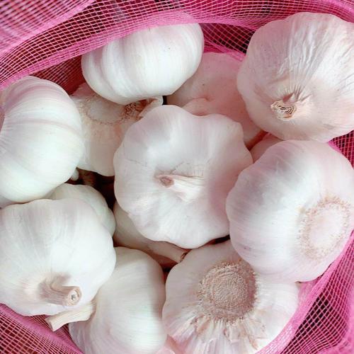 A Plus Grade Garlic (Size 45mm)