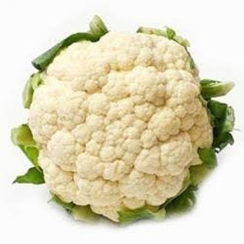 Chemical Free Rich Natural Delicious Taste Healthy Organic White Fresh Cauliflower Moisture (%): 17%