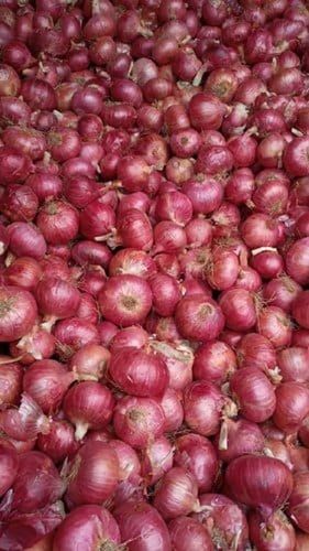 Enhance The Flavor Rich Healthy Natural Taste Fresh Organic Brown Onion