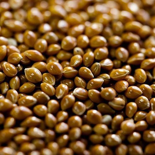 Vitamin And Potassium Enriched 100% Pure Organic Brown Whole Proso Millet