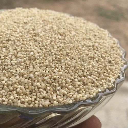 Organic Vitamin, Potassium And Zinc Enriched Oraganic White Whole Barnyard Millet