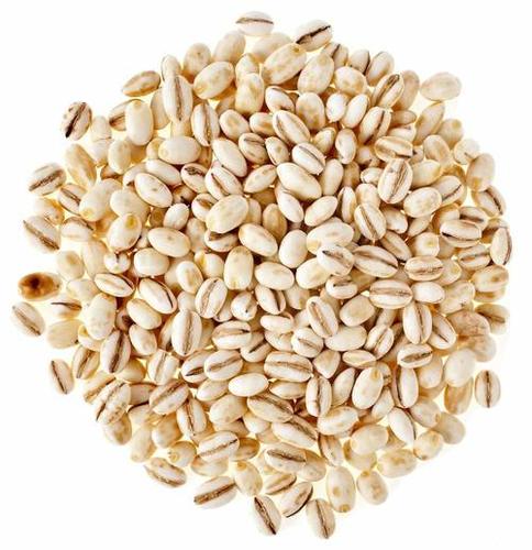 White Dry Fruit Hub Pearl Barley Whole Grain Organic Barley For Good Health