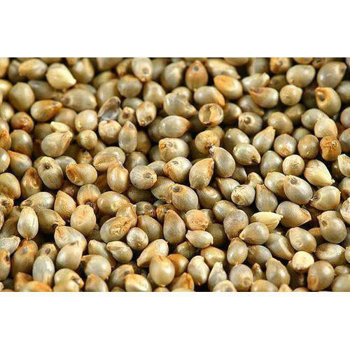 Zinc, Vitamin And Potassium Enriched 100% Pure Organic Whole Pearl Millet 