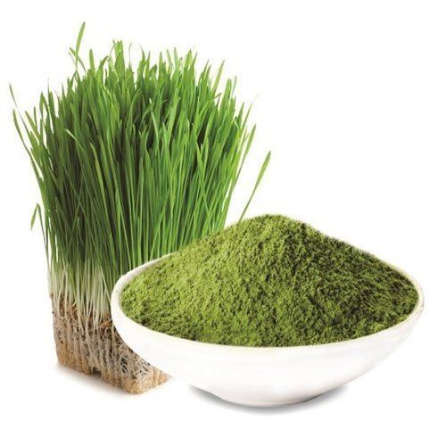 100% Pure And Organic Barley Grass Powder Without Added Preservatives