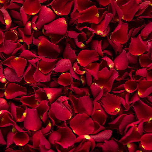 100% Pure And Refreshing Dried Red Rose Petals 