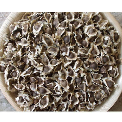 Dried And Natural Moringa Dry Seeds With 12 Months Shelf Life And 100% Purity