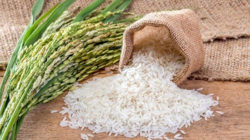  100% प्राकृतिक और जैविक गैर बासमती चावल 