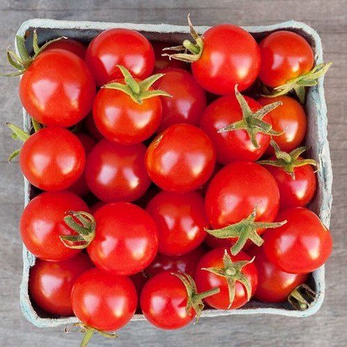 100% Organic And Farm Fresh Red Cherry Tomato Use In Vegetable, Sandwich