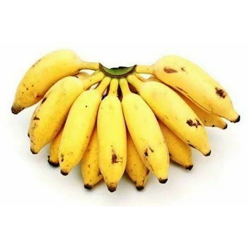 A Grade Small Size Yellow Colour Organic Fresh Karpooravalli Banana