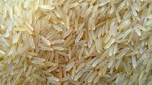 Golden Organic, High Protein, Fresh And Natural Processed Basmati Biryani Rice 
