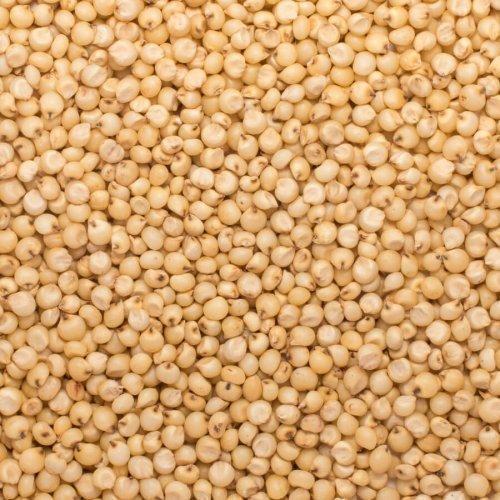 High Quality Vitamins And Nutrients Rich Brown Color Jowar Grain Good Source of Fiber Protein