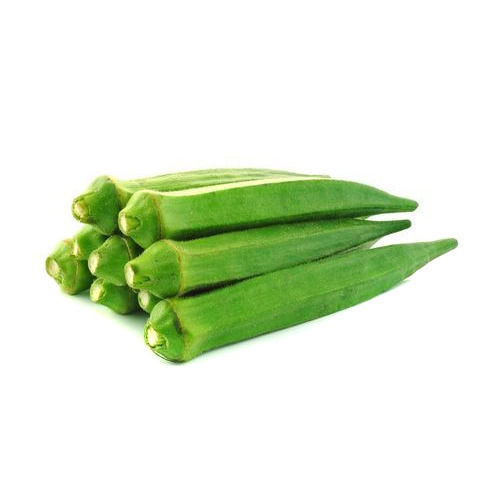 Length Rich In Vitamin C Fresh Green Organic Lady Finger For Tasy Dishes