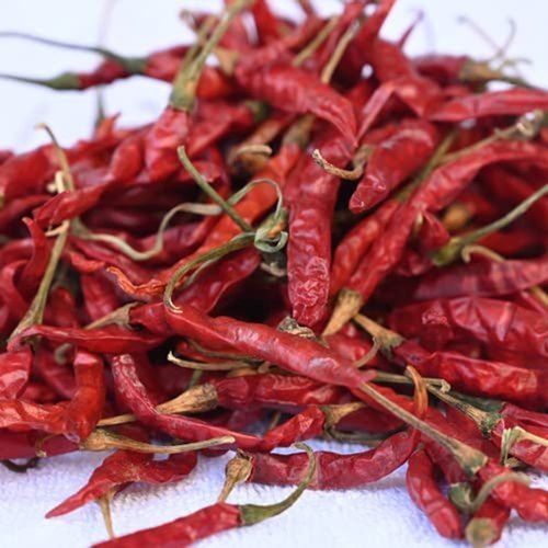 100% Natural And Spicy Dry Red Chilli For Cooking Pickles And Chutney