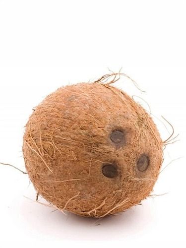 De-Husked Coconut With Matured, Rich In Fibre, Potassium, Magnesium and Vitamin C