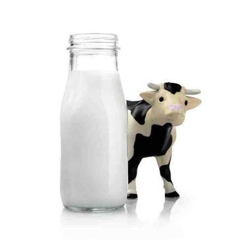  ताजा गाय आधारित दूध 1 लीटर आधा स्टेरलाइज्ड और 1 दिन की शेल्फ लाइफ के साथ 