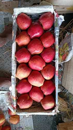 Red Color Delicious And Juicy 100 Percent Natural And Fresh Apples Rich In Fiber