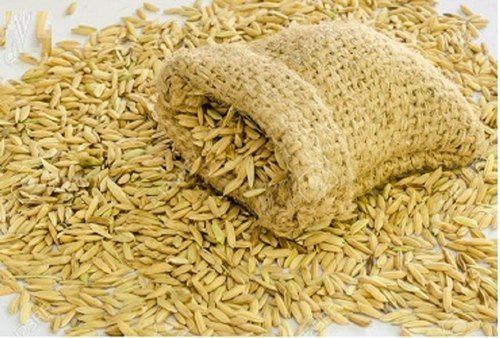 Rich Taste A Grade 100% Pure Brown Long Grain White Basmati Paddy Rice