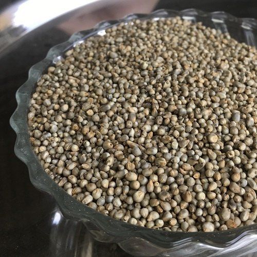 organic pearl millet