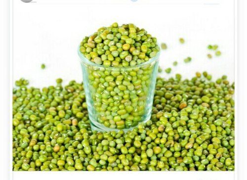 100% Pure And Organic Highly Nutritent Enriched Fresh Green Moong Dal Crop Year: 4 Months