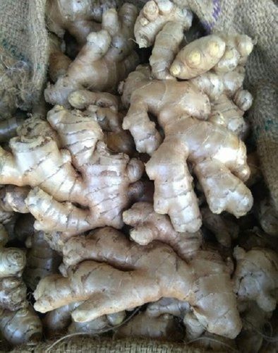 A Grade 100% Pure And Natural Fresh Ginger For Cooking And Tea