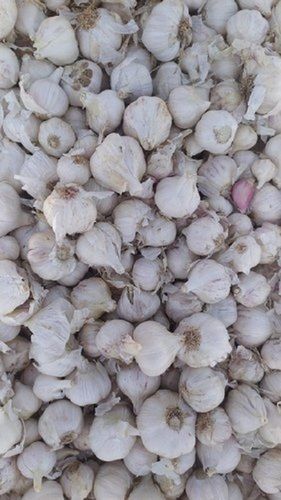 A Grade 100% Pure And Natural Whole Grown Fresh Raw Garlic Moisture (%): 2%