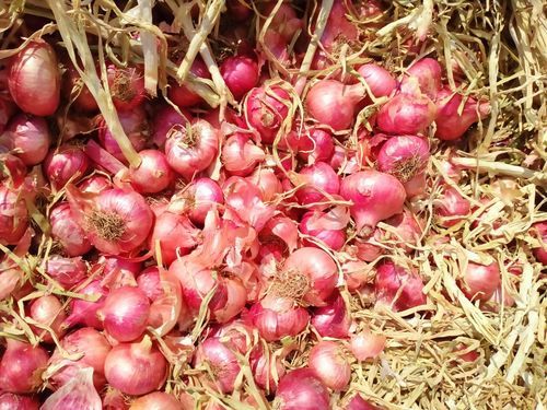 A Grade 100% Pure Natural Organic And Healthy Brown Fresh Onion For Cooking