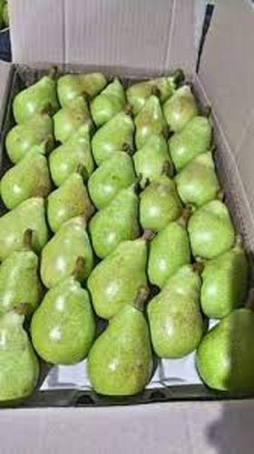 Delicious Healthy Natural Rich Taste Chemical Free Green Organic Fresh Pears Origin: India